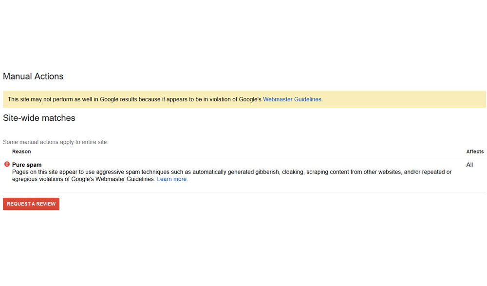 Google Manual Penalty - Pure Spam 1