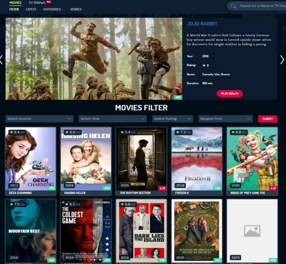 A Complete Guide on How to Create a Video Streaming Website in 2020 - Advanced search options and filters are important.